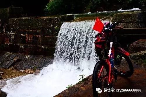 委员“涪”务乡村振兴 榨菜之乡汇聚群英